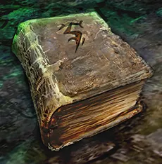 Helvec's Tome