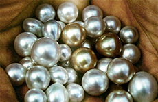 Silk Purse of Pearls